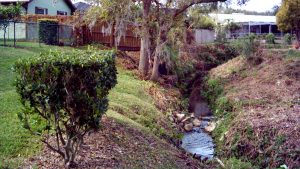 Harbor Woods Slope Repair