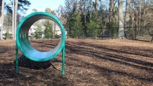 dog park