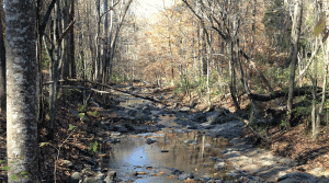McKim & Creed provided engineering services for a parallel relief sewer and replacement of the Paw Creek Outfall for Charlotte Water.