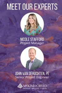 Meet our Experts