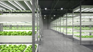 Indoor Agriculture facility